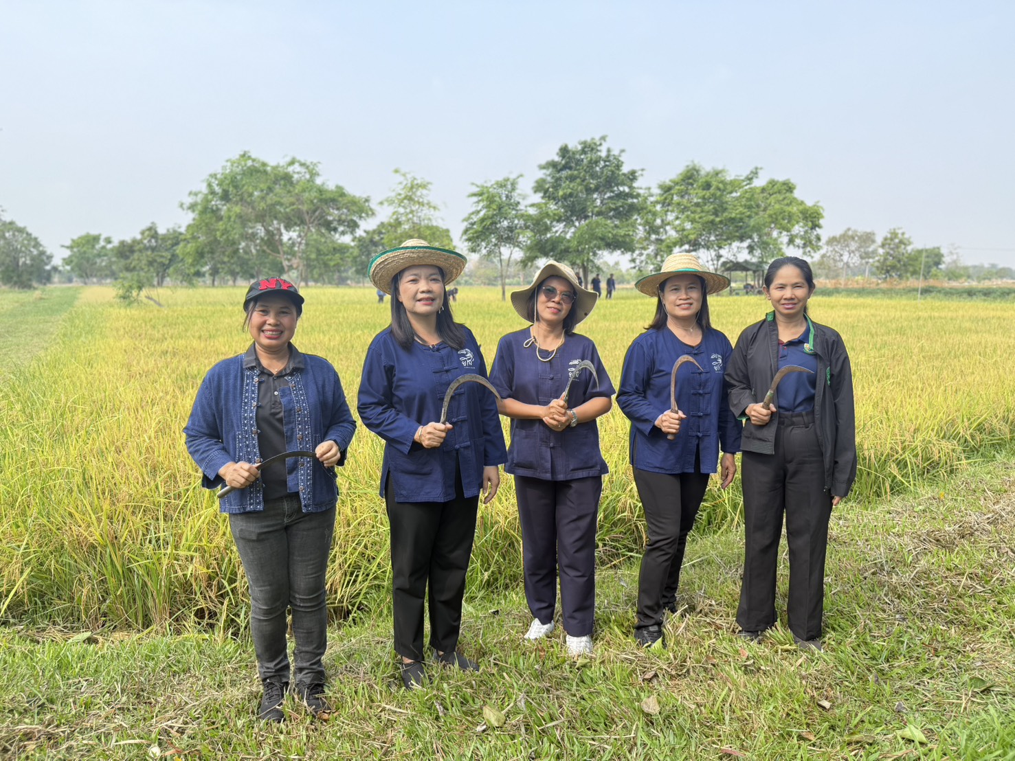title - ส.ป.ก.ยโสธร ร่วมกิจกรรมเกี่ยวข้าว ภายใต้โครงการปลูกข้าวเฉลิมพระเกียรติ พระบาทสมเด็จพระเจ้าอยู่หัวฯ เนื่องในโอกาส มหามงคลเฉลิมพระชนมพรรษา 74 พรรษา
